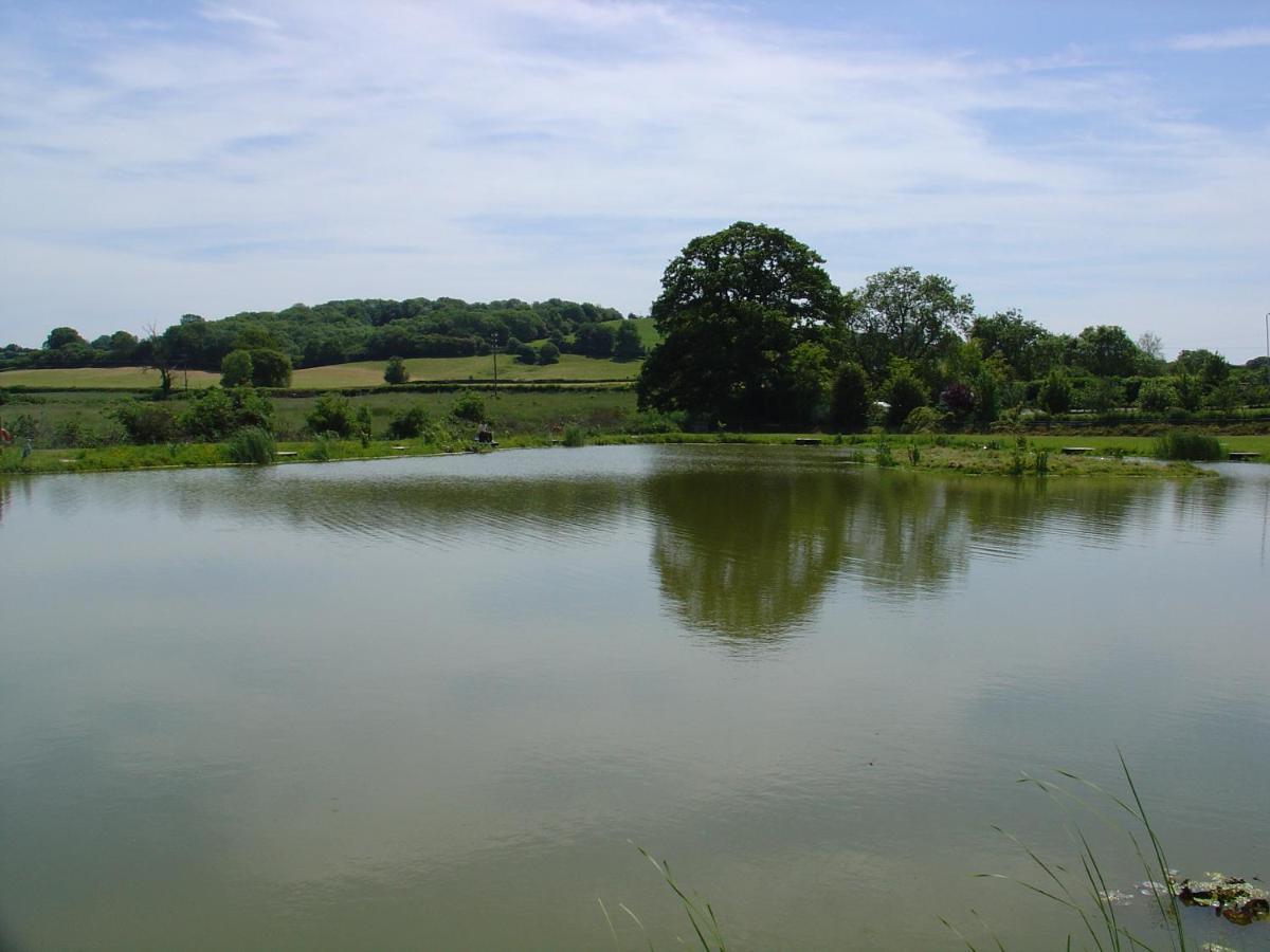 Halfway House Inn Country Lodge Yeovil Bilik gambar